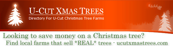 Real Christmas Trees