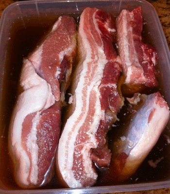 curing bacon